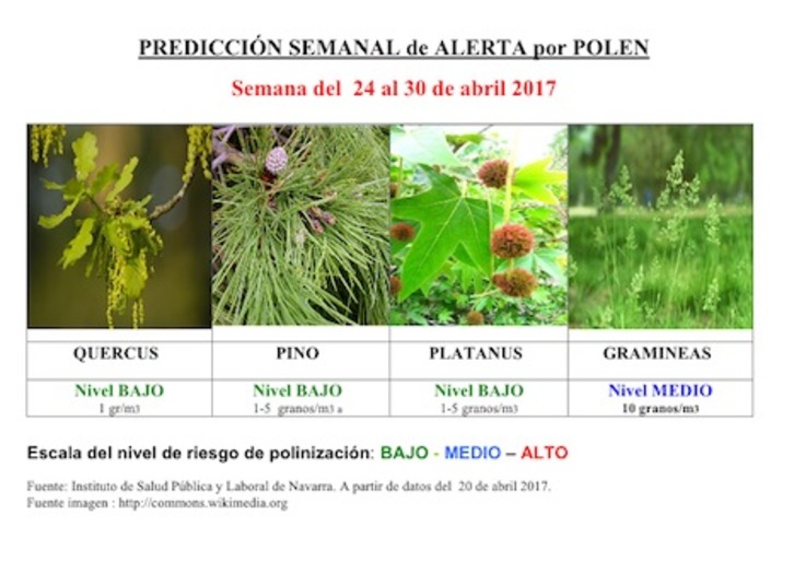 El Consistorio ofrece a los alérgicos información sobre los niveles de polen. (AYUNTAMIENTO DE IRUÑEA)