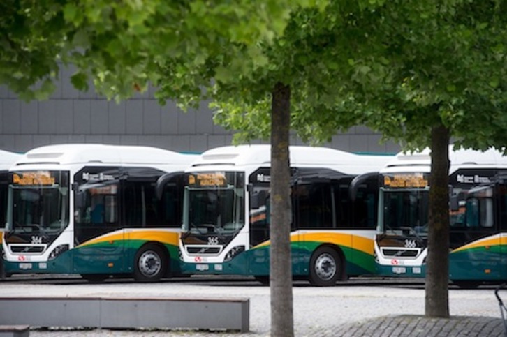 Imagen de los doce nuevos autobúses híbridos que ha incorporado la Mancomunidad al transporte urbano de Iruñerria. (Iñigo URIZ/ARGAZKI PRESS)