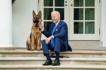 El presidente de EEUU, Joe Biden, posa junto a Commander en la Casa Blanca. 